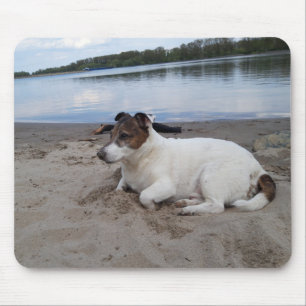 Capo von Oppenheim Jack Russell Terrier, Dog Mouse Mat