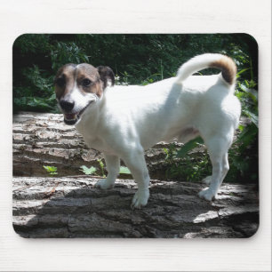Capo von Oppenheim Jack Russell Terrier, Dog Mouse Mat
