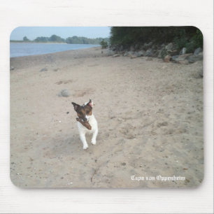 Capo von Oppenheim Jack Russell Terrier, Dog Mouse Mat