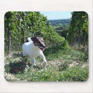 Capo von Oppenheim Jack Russell Terrier, Dog Mouse Mat