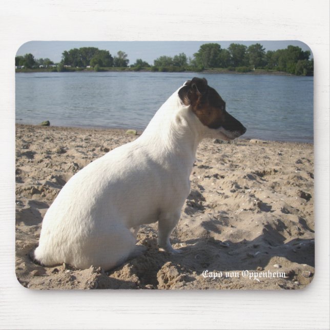 Capo von Oppenheim Jack Russell Terrier, Dog Mouse Mat (Front)