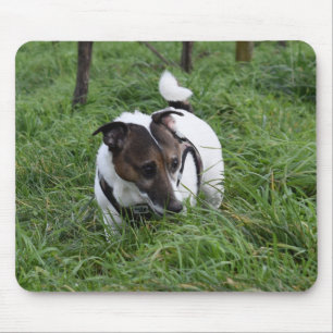 Capo von Oppenheim Jack Russell Terrier, Dog Mouse Mat