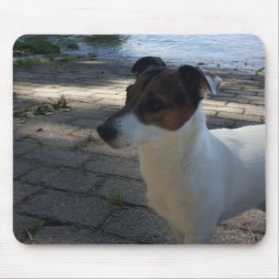 Capo von Oppenheim Jack Russell Terrier, Dog Mouse Mat