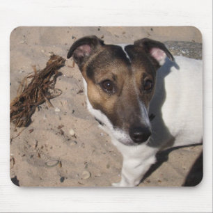 Capo von Oppenheim Jack Russell Terrier, Dog Mouse Mat