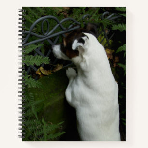 Capo von Oppenheim Jack Russell Terrier, Dog Notebook