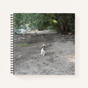Capo von Oppenheim Jack Russell Terrier, Dog Notebook