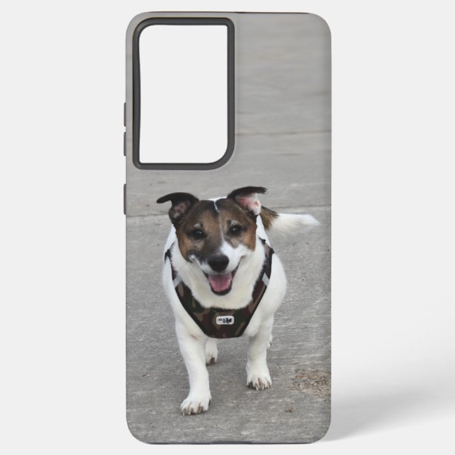 Capo von Oppenheim, Jack Russell Terrier Dog Samsung Galaxy S21+ Case (Back)
