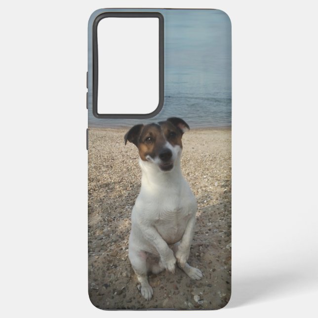 Capo von Oppenheim, Jack Russell Terrier Dog Samsung Galaxy S21+ Case (Back)