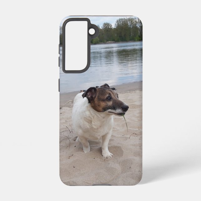Capo von Oppenheim, Jack Russell Terrier Dog Samsung Galaxy S21 Case (Back)