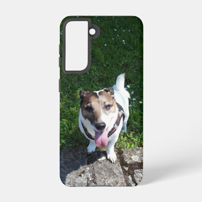 Capo von Oppenheim, Jack Russell Terrier Dog Samsung Galaxy S21 Case (Back)