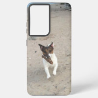 Capo von Oppenheim, Jack Russell Terrier Dog