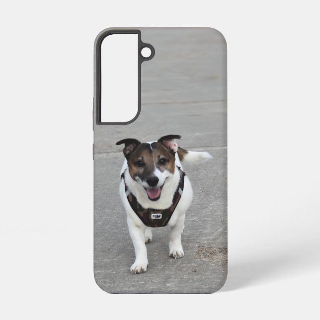 Capo von Oppenheim, Jack Russell Terrier Dog Samsung Galaxy S22 Case (Back)