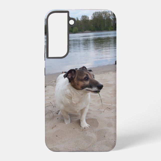 Capo von Oppenheim, Jack Russell Terrier Dog Samsung Galaxy S22+ Case (Back)