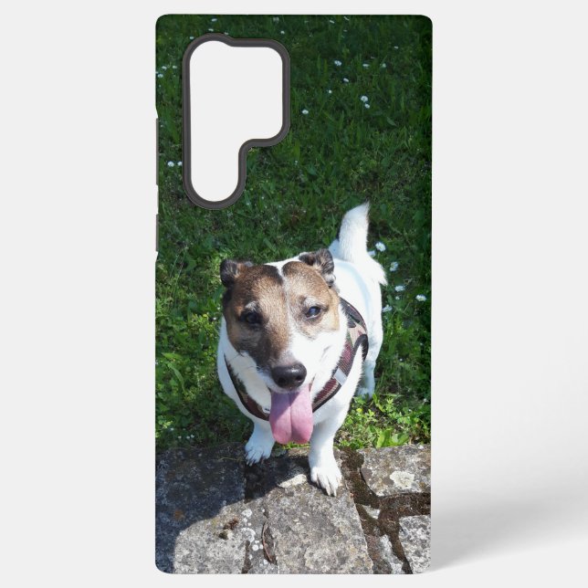 Capo von Oppenheim, Jack Russell Terrier Dog Samsung Galaxy S22 Ultra Case (Back)