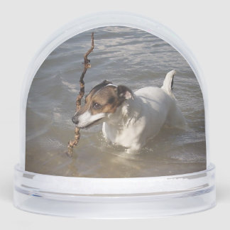 Capo von Oppenheim, Jack Russell Terrier Dog Snowglobe