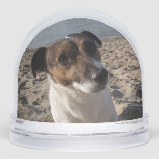 Capo von Oppenheim, Jack Russell Terrier Dog Snowglobe