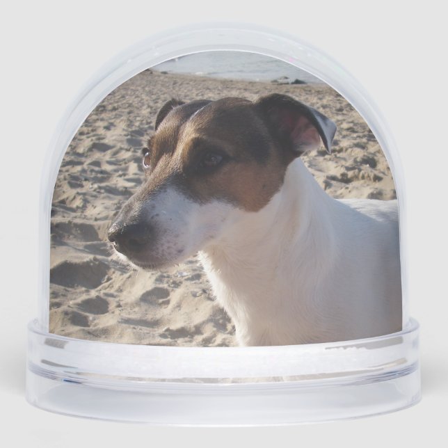 Capo von Oppenheim, Jack Russell Terrier Dog Snowglobe (Front)