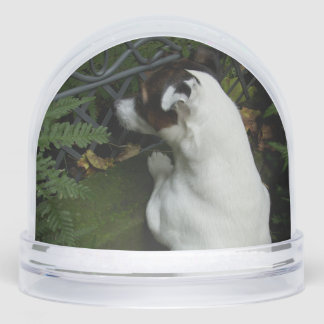 Capo von Oppenheim, Jack Russell Terrier Dog Snowglobe