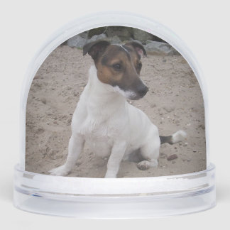 Capo von Oppenheim, Jack Russell Terrier Dog Snowglobe