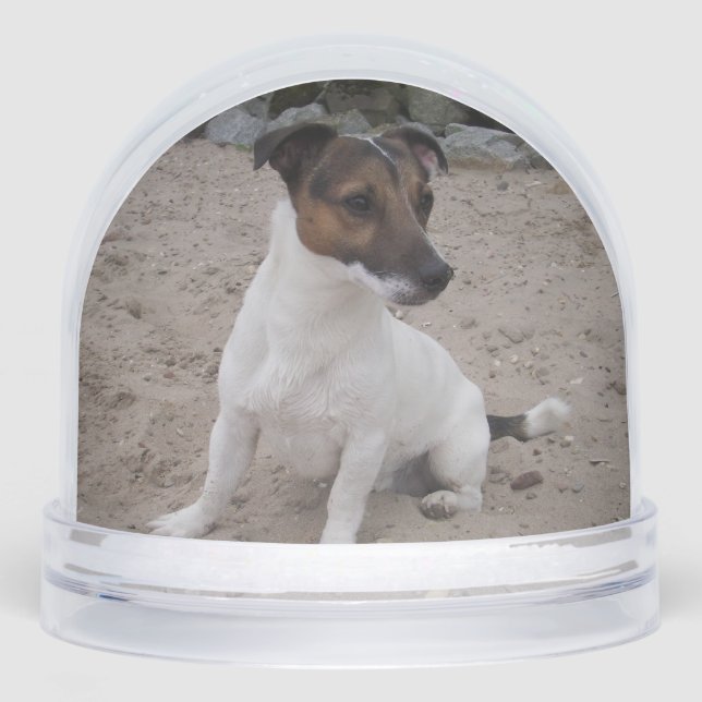 Capo von Oppenheim, Jack Russell Terrier Dog Snowglobe (Front)