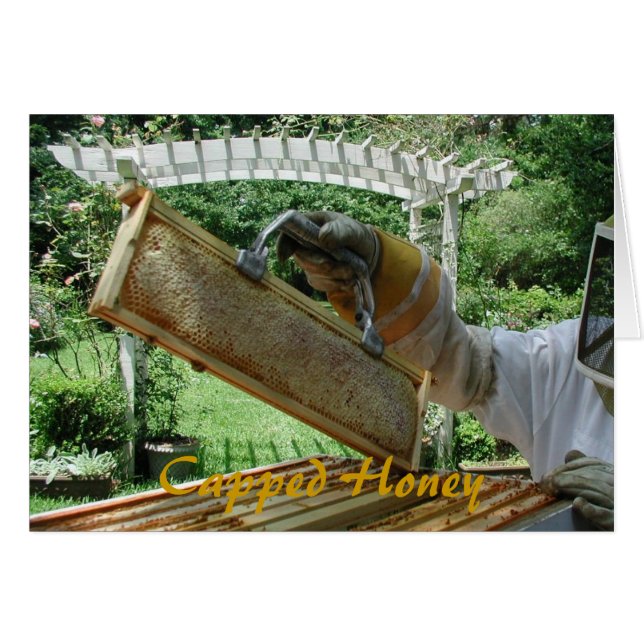 Capped Honey (Front Horizontal)