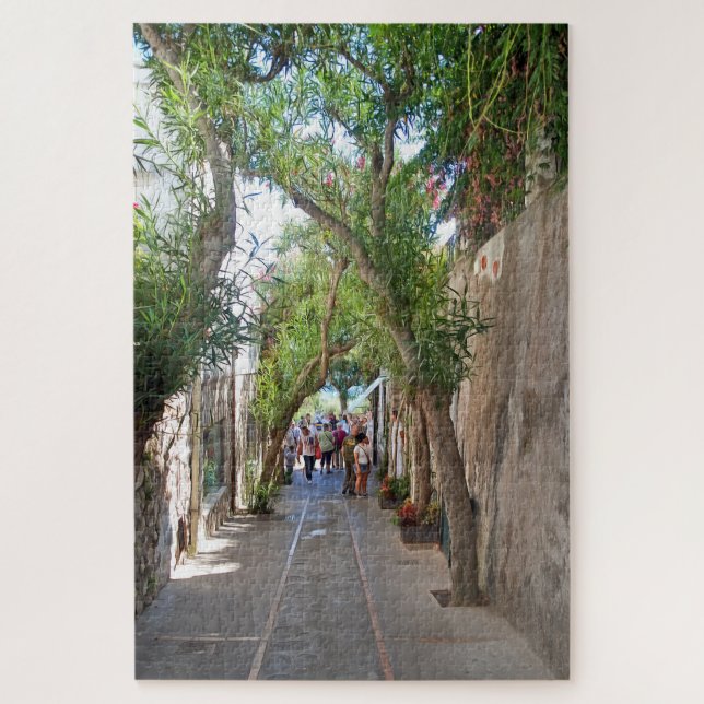 Capri. #5   jigsaw puzzle (Vertical)