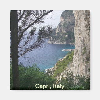 Capri, Italy Magnet