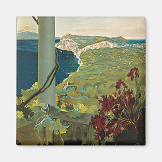 Capri Magnet