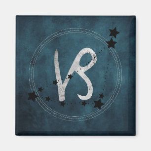 Capricorn black & silver zodiac constellation teal magnet