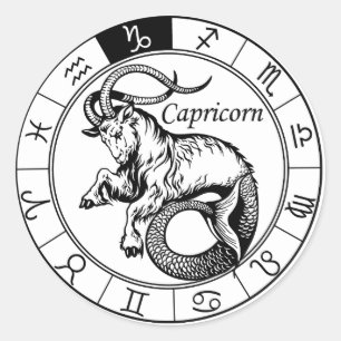 capricorn classic round sticker
