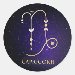 Capricorn Classic Round Sticker