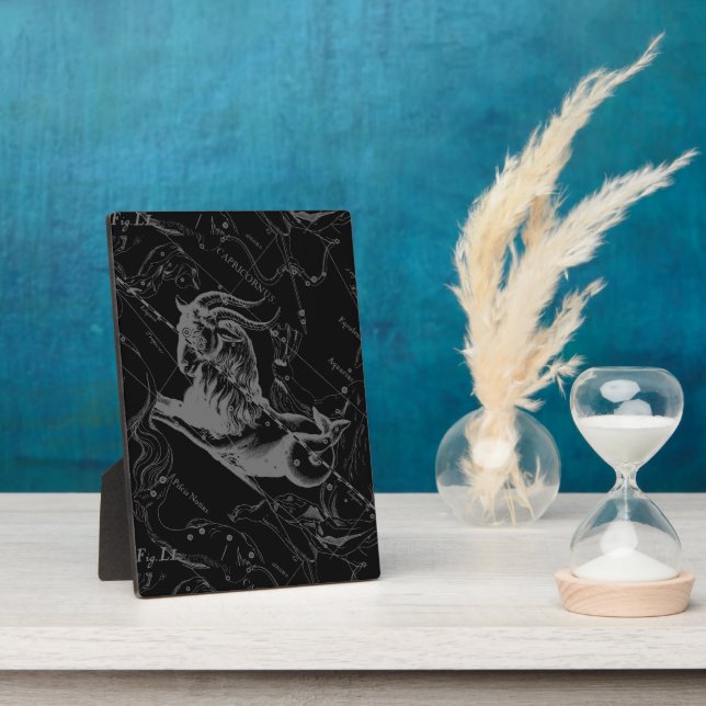 Capricorn Constellation Hevelius 1690 Engraving Plaque (Side)