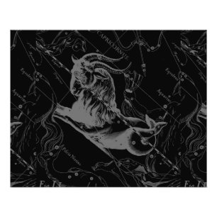 Capricorn Constellation Hevelius 1690 on Black Photo Print