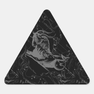 Capricorn Constellation Map Hevelius Engraving Triangle Sticker