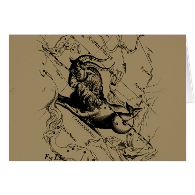 Capricorn Constellation Vintage Engraving Hevelius (Front Horizontal)