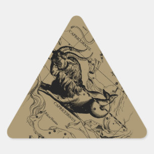 Capricorn Constellation Vintage Engraving Hevelius Triangle Sticker