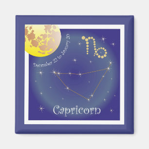 Capricorn December 22 to January 20 Magnet
