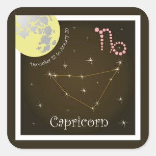Capricorn December 22 to January 20 Sticker
