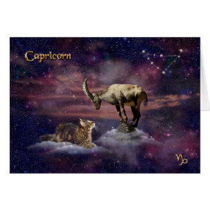 Capricorn for Cat Lovers