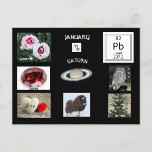 Capricorn January Birth Month postcard