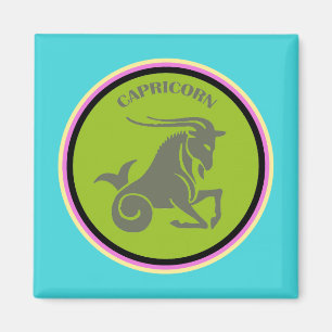 Capricorn Magnet
