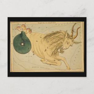 Capricorn Postcard