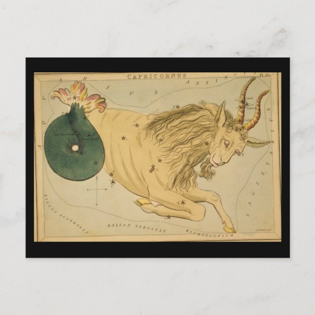 Capricorn Postcard (Front)