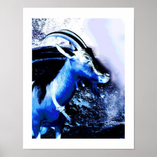 Capricorn Poster