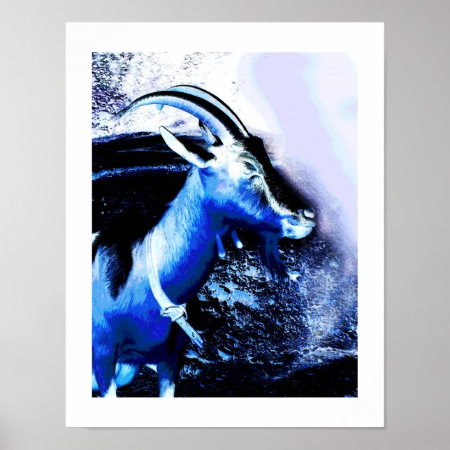Capricorn Poster (Front)
