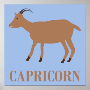 Capricorn Star Sign Goat