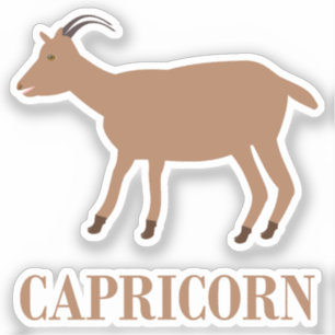 Capricorn Star Sign Goat