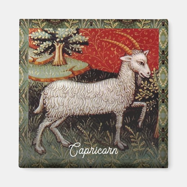 Capricorn the Goat Zodiac Sign Birthday Party Magnet (Front)