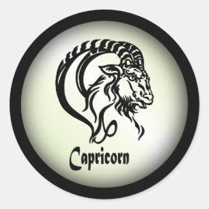 Capricorn the Sea Goat Zodiac Green Classic Round Sticker