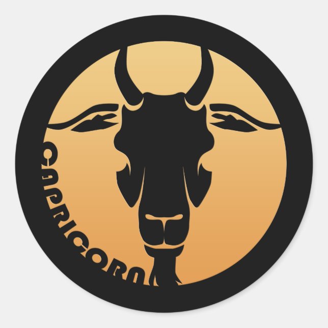 Capricorn Zodiac Sign Classic Round Sticker (Front)